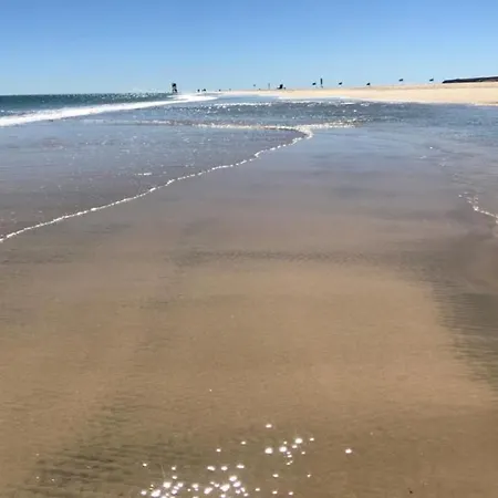 Coco 코스타카르마