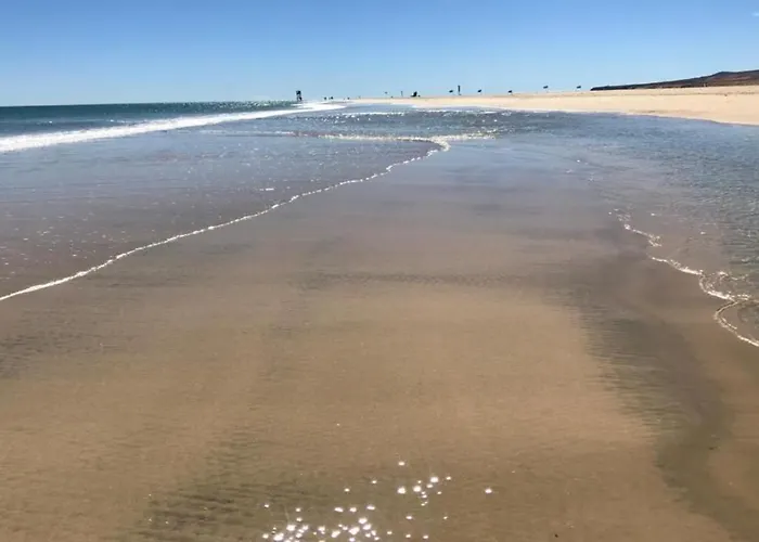 Coco コスタ・カルマ